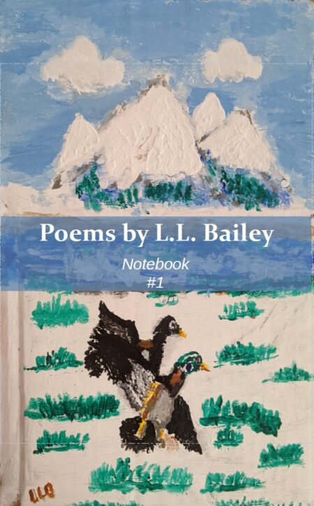 Poems by L.L. Bailey: Notebook #1